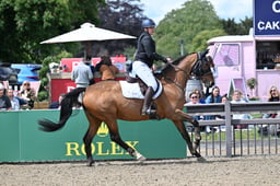 A31_1941 2026
