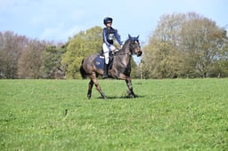 125 Coco & Little Miss Moonshine