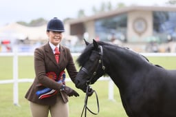 Small Breeds Championship