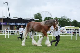 H44_0020 2026