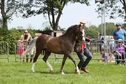 E34_2084 2026