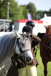 W33_0545 2026