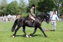 C33_0790 2026