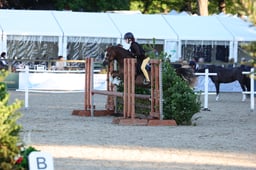 F46_4768 2026
