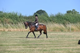 S60_0645 2026