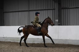 Class 74 RoR Racehorse Challenge