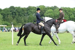H36_8420 2026