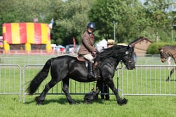C33_0628 2026