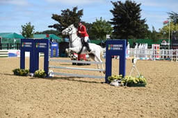 CL52 Pony British Novice Championship Final