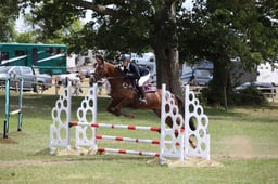 262 Fourfields Royal Lass