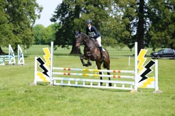 217 BALLYGRIFFIN PASSION