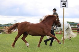 J36_6128 2026