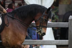 S30_3939 2026