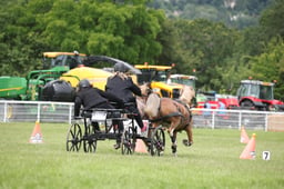 M43_6705 2026