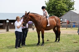 Ledbury Ring A