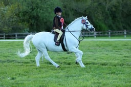 131 RIHS WHP Cradle Stakes