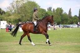 W36_2003 2026