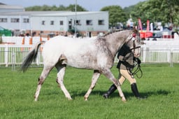 C33_0106 2026