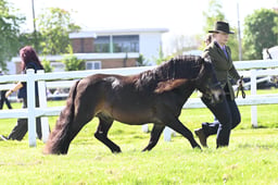 S19_7412 2026