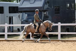 101J M&M Ridden Welsh Section A