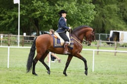 E30_5020 2026