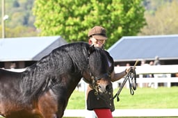S19_7370 2026
