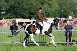 C33_0435 2026