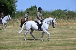 S60_0609 2026