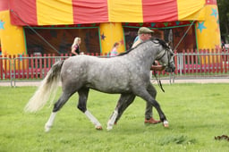 E34_3061 2026