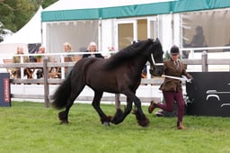 W29_0880 2026