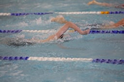 Heat 29