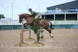 CL3 HOYS INTERMEDIATE WHP