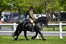 TSR Ridden Championship