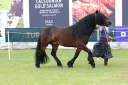 M44_0959 2026