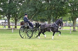 A43_0619 2026
