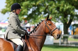 Senior Local Rider 16yrs & Over