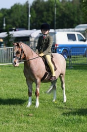 C33_0540 2026