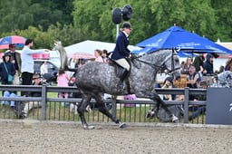 42-41 Novice Hunter Championship