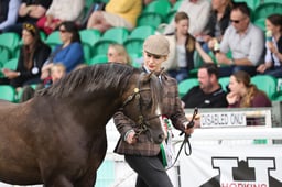 HOYS Supreme In Hand