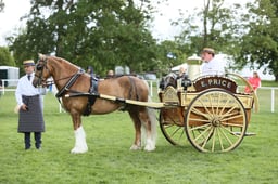 E28_2776 2026
