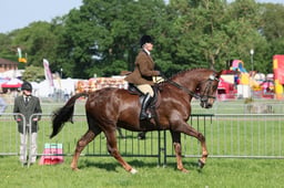 C33_0655 2026