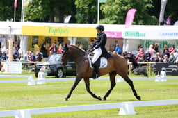 210 LOCARNO STAR