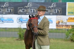 Pony Breeding