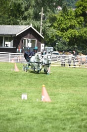 D42_1726 2026