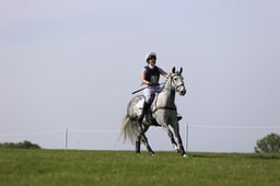 C26_0937 2026
