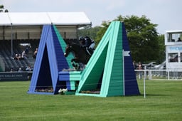 K24_1462 2026