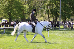 100 Open SHP 153cm