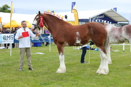 F44_0100 2026