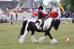 Z68_0764 2026