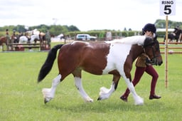 J36_6290 2026